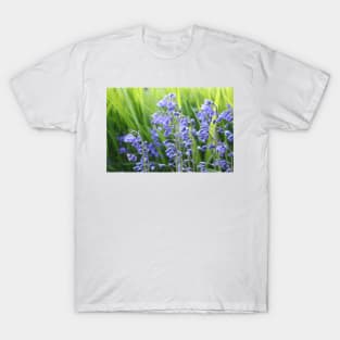 Bluebells T-Shirt